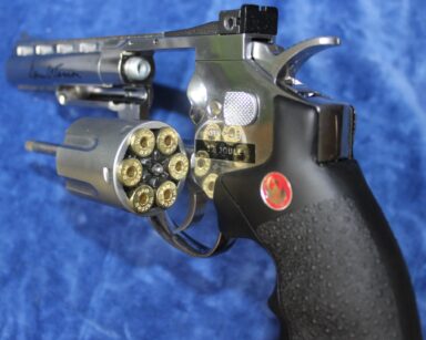 Dan Wesson revolver 4 Inch 6mm BB