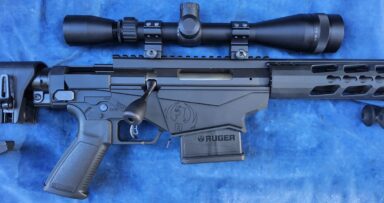 Ruger RPR Precision Rifle .223